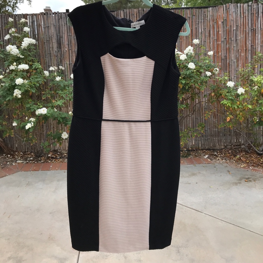 Size 12 Dress Barn Dress EUC